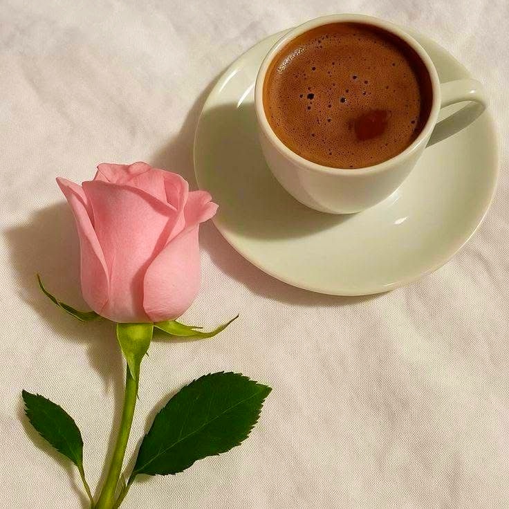 { اطياااف } tweet media