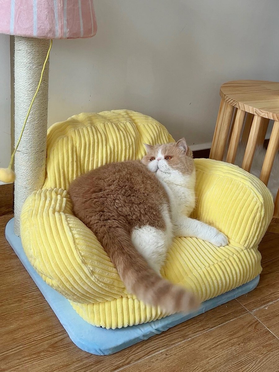 george monkey tweet media