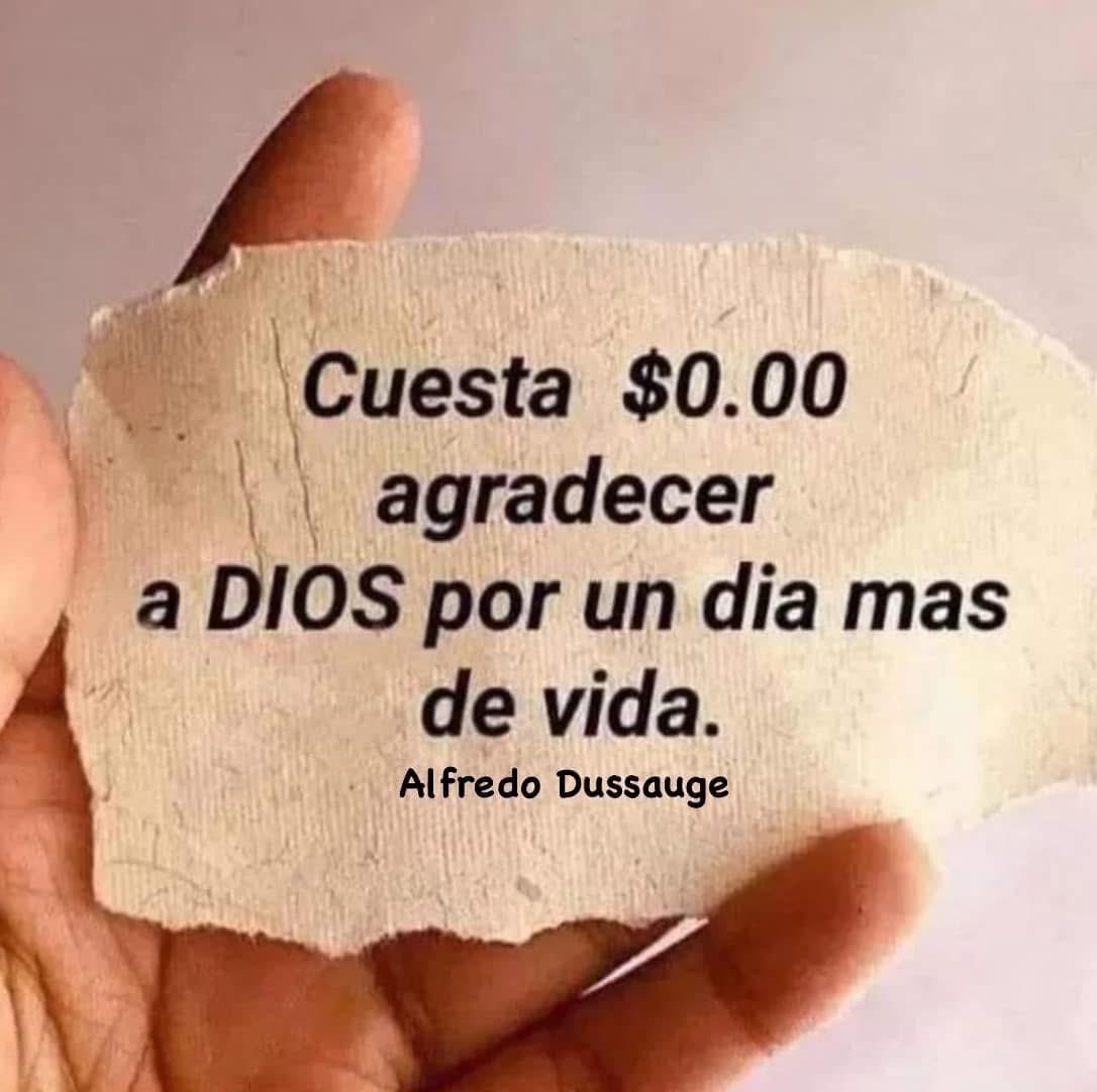 AlfredoDussauge's tweet image. “Cuesta $0.00 agradecer a DIOS por un dia mas de vida.”
#TeQuiero #Dios #FelizMiércoles