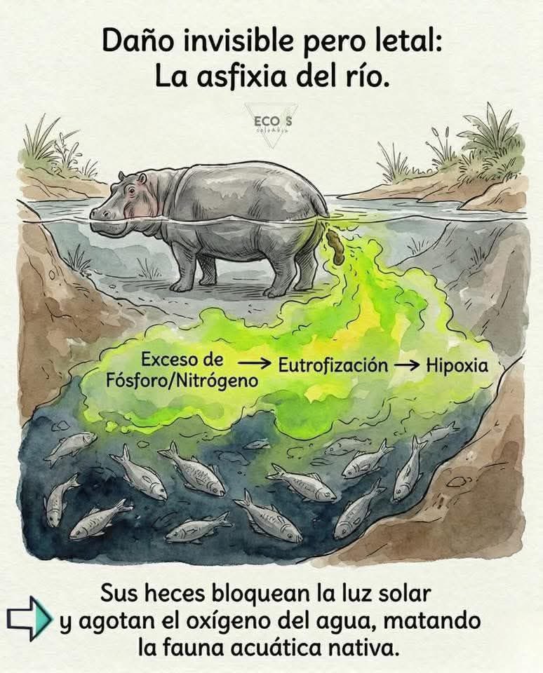 Silvana Zapata Bedoya EPI-SIG-DS tweet media