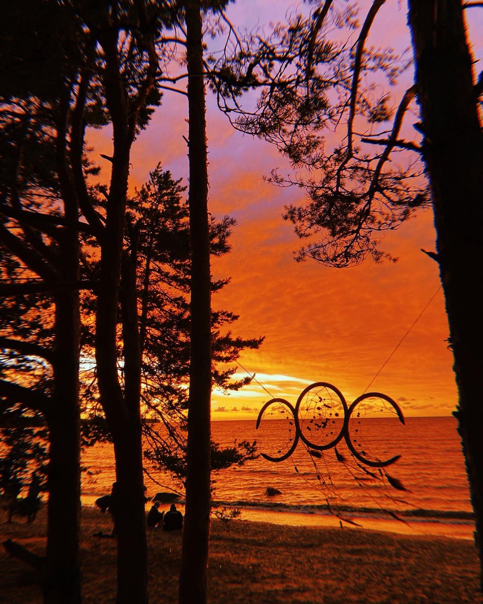 а ну погавкай tweet media