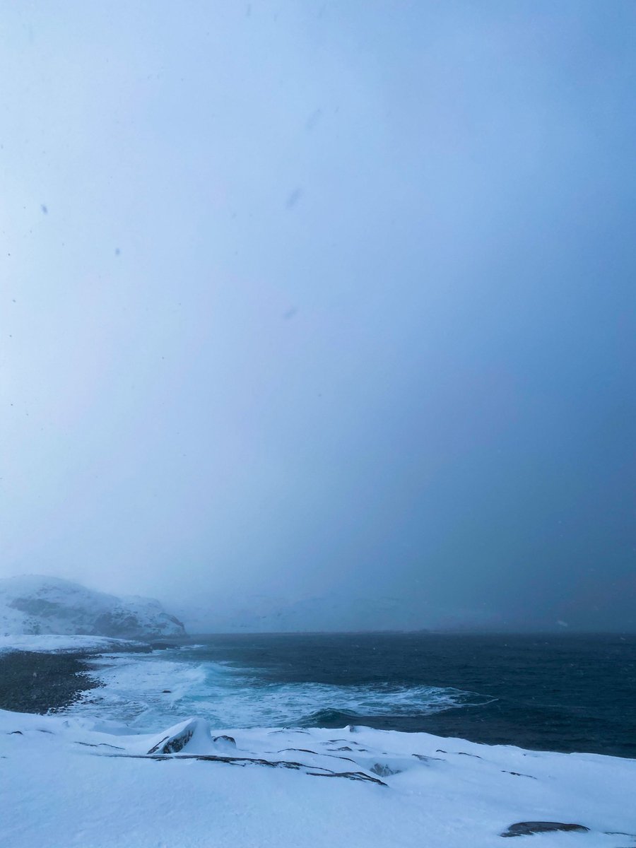 а ну погавкай tweet media