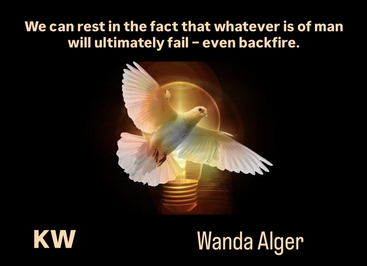 Kingdom Winds tweet media