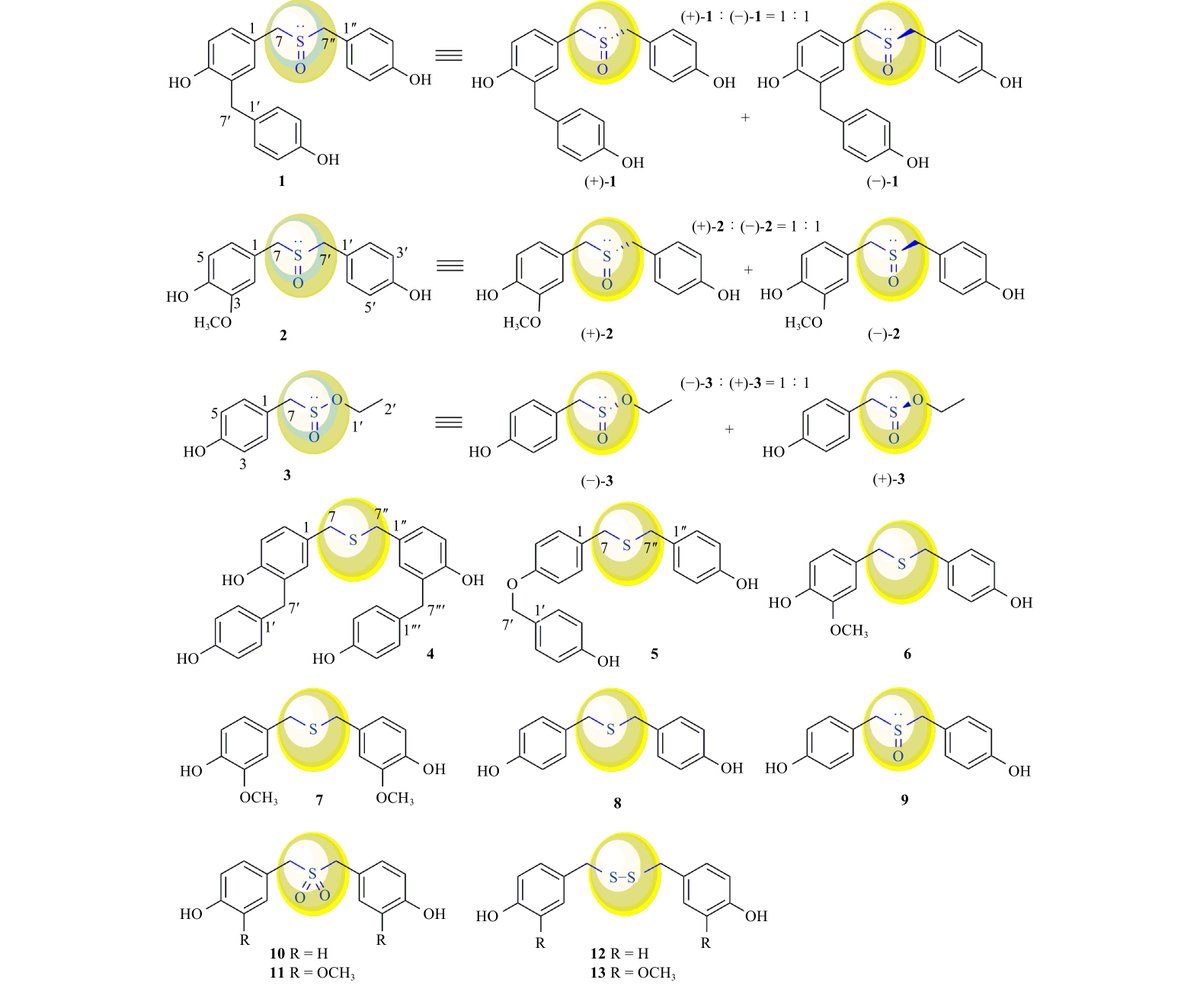 Chinese Journal of Natural Medicines tweet media