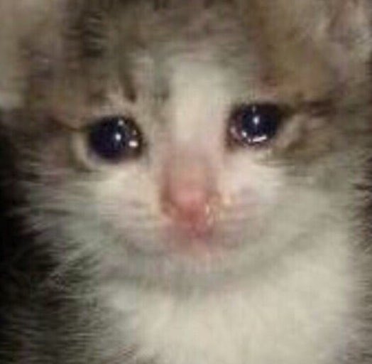 리치 (상태: 전완근) tweet media