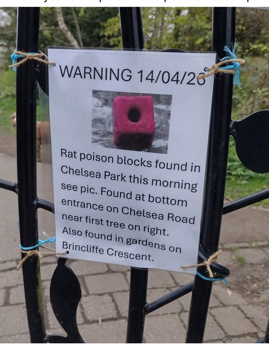 Tommy Robinson 🇬🇧 tweet media