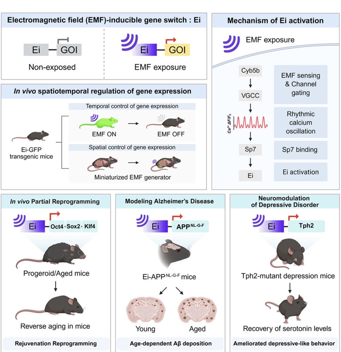 David Sinclair tweet media
