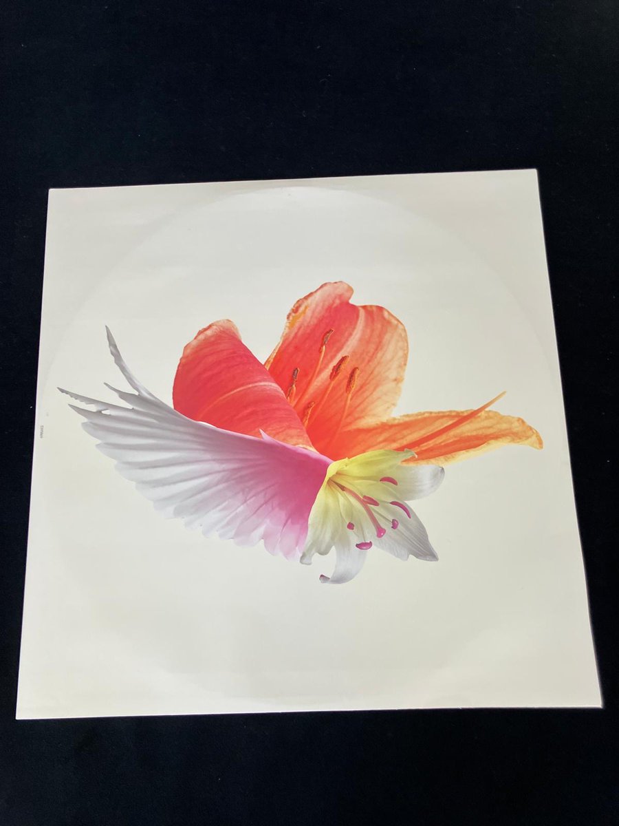 SpandauBallet's tweet image. Just arrived at SB HQ!

'Once More', the album, is available on vinyl for the very first time on April 18th. The release is limited, and the LPs are numbered.

Pre-Order Now &amp;gt;&amp;gt; spandauballetstore.com

#oncemore