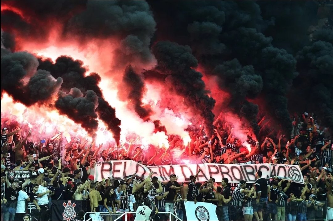 Jornal Palestrino tweet media