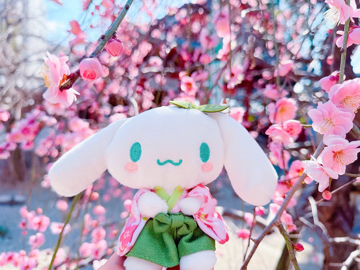 たれみみ♡ tweet media