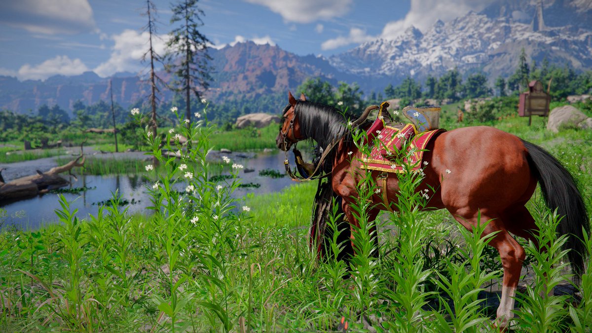 𝐅𝐄𝐑𝐀𝐒 tweet media