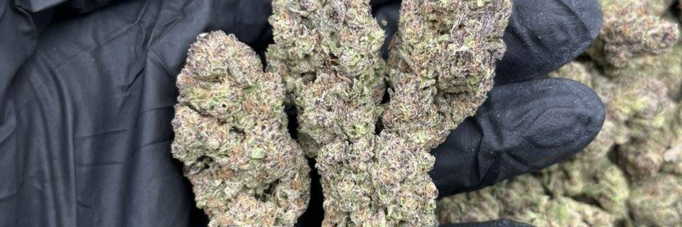 BuddsEmpire's tweet image. Green #Dublin, Green Guinness Storehouse, #Green Kilmainham Gaol, Green Trinity College (Book of Kells), Green Blarney Castle, Green Rock of Cashel