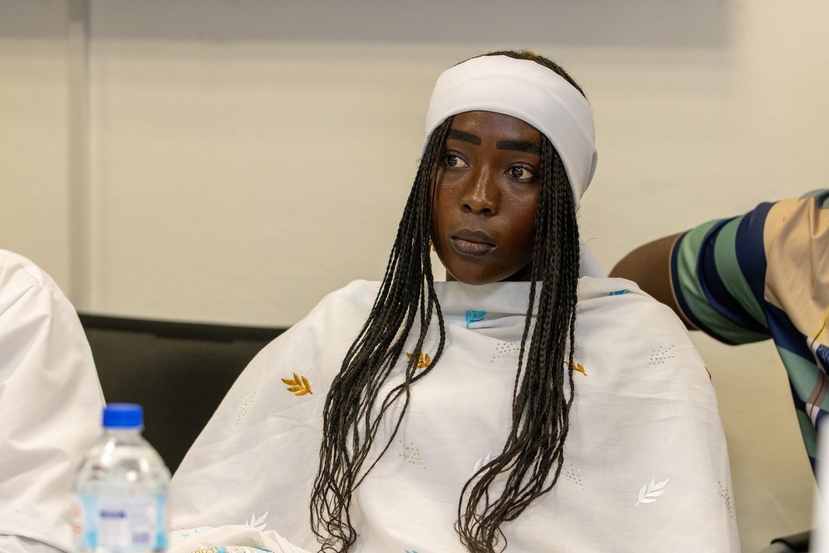 FrancisUNDP's tweet photo. Scandinavia in the Sahel.  Rich discussions with 🇸🇪, government, @lcbc_cblt, civil society, women &amp; youth from Lac &amp; Hadjer Lamis provinces, to respond to development needs in the  #LakeTchadBasin.   Building resilience to ensure results that are locally anchored and sustainable. https://t.co/psZwNK4jDV