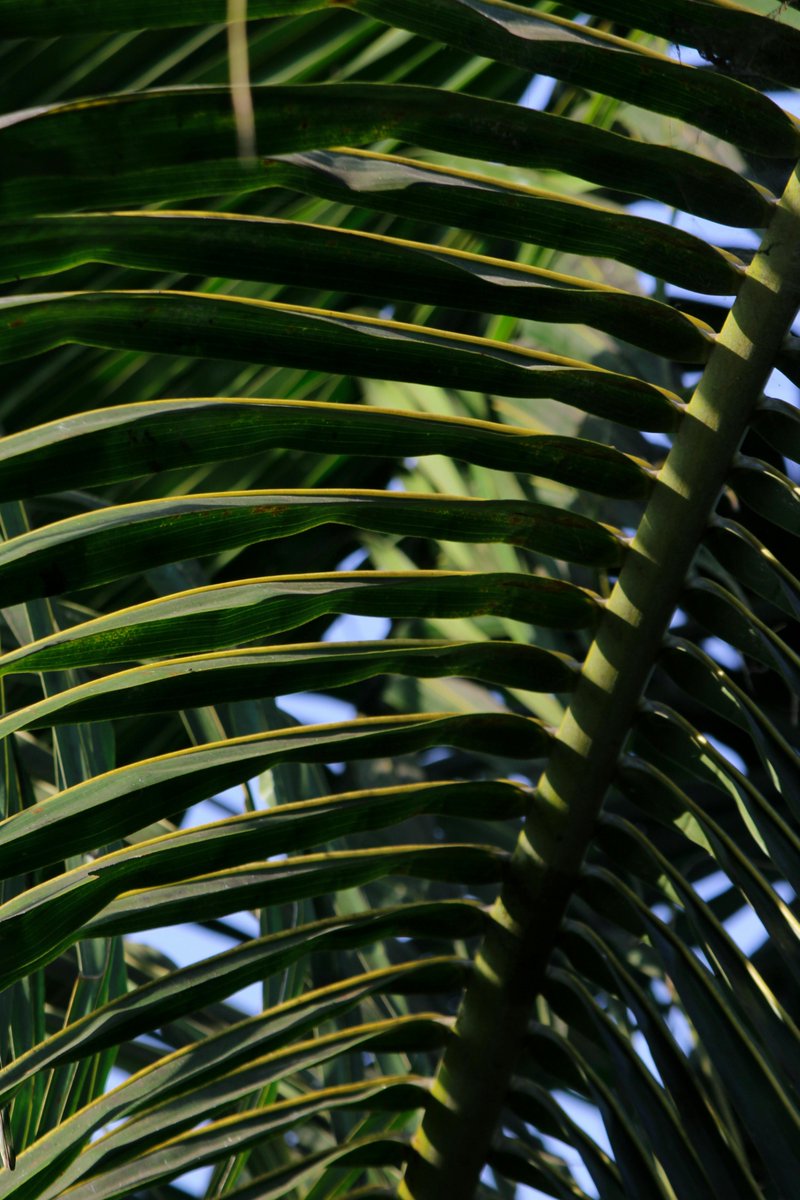 Nathalie Iung tweet media