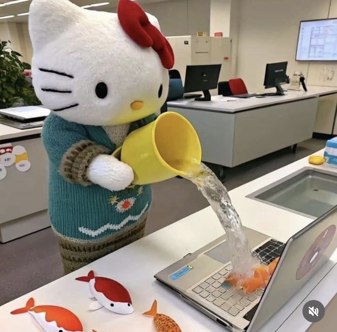 こりあゆ@韓国VLOG tweet media