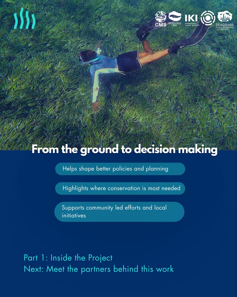 A closer look at the International Climate Initiative Seagrass Ecosystem Services Project 🌱

Working across 6 countries since 2019 to better understand seagrass ecosystems &amp; support conservation through data, communities &amp; collaboration.

More on the partners next!
<a href="/iki_germany/">IKI Germany</a>