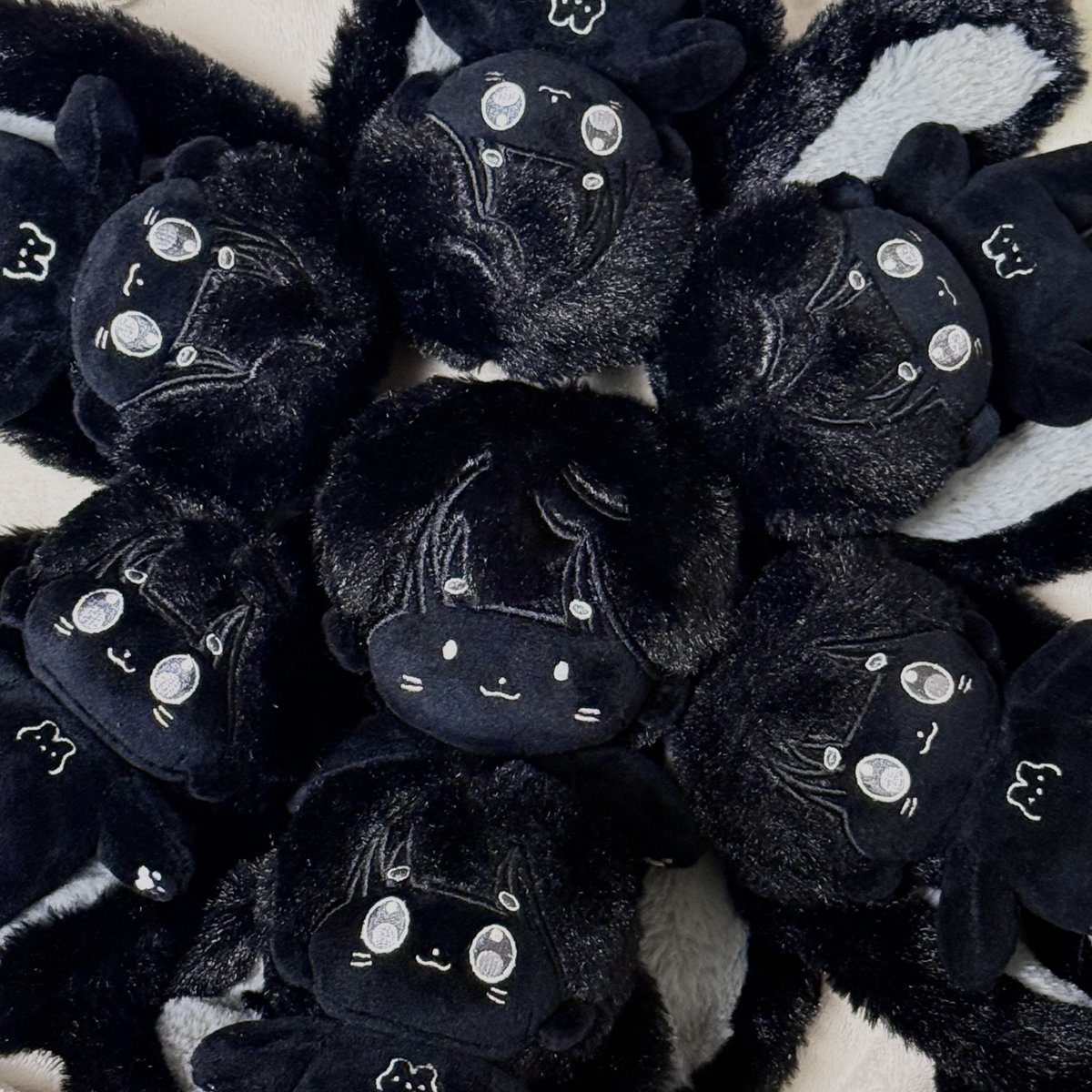 🐢망고 tweet media