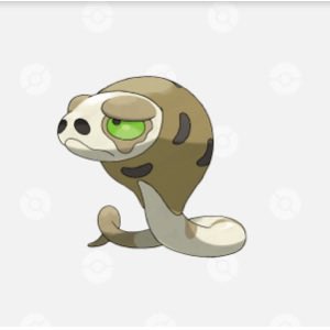 みぃ太郎♀ tweet media