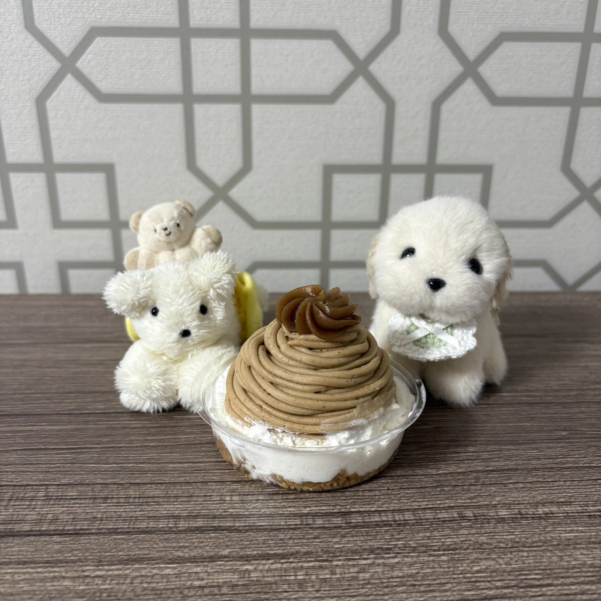 ちいさなえぼしげたち tweet media