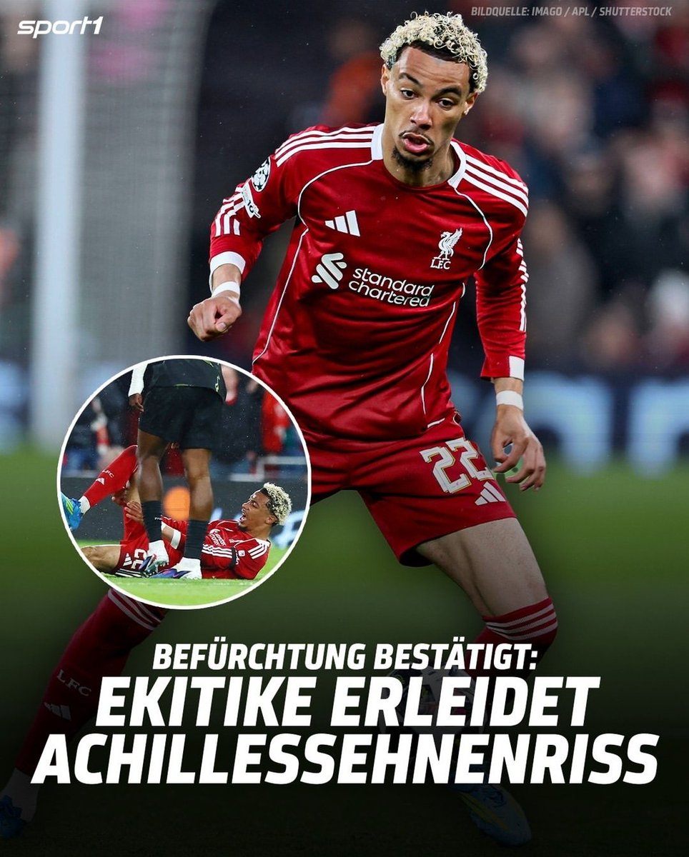 Leon Herrmann 🇩🇪🇭🇷 | RODRIGO RIBEIRO SZN tweet media