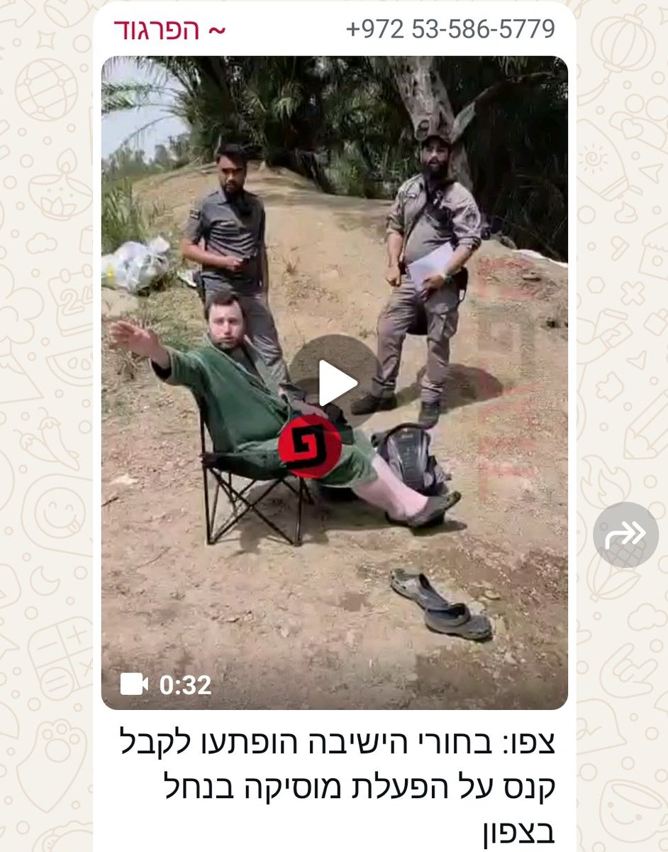 Yael Freidson יעל פרידסון tweet media