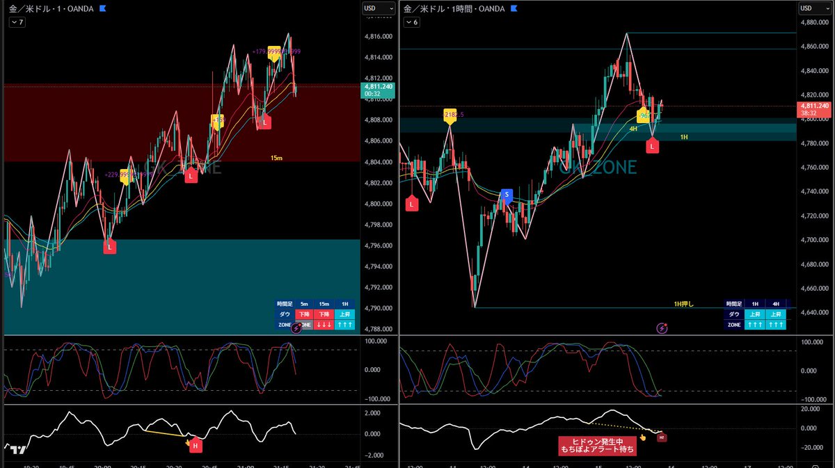 ♛グッチ♛ tweet media