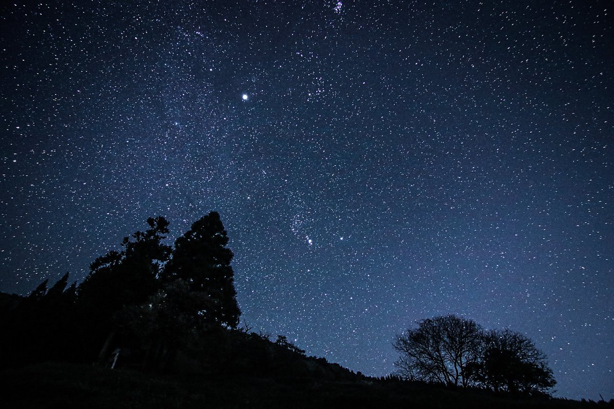 ʚ 🐤ゆーにゃっしゅ🐤ɞ tweet media