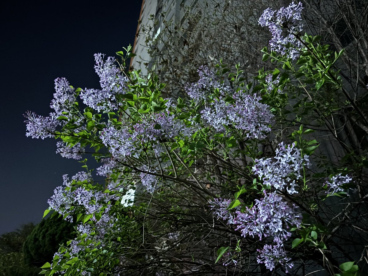 𝐻𝑎𝑡𝑜𝑚𝑖𝑛𝑔 tweet media