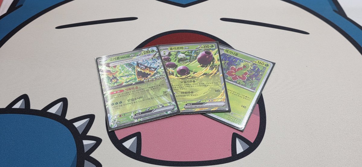 메요 대회기록 tweet media