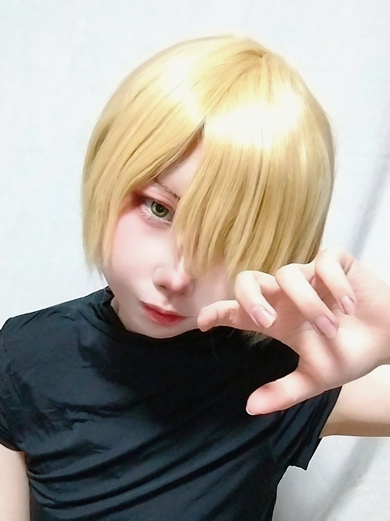 猫本つき💫5a! tweet media