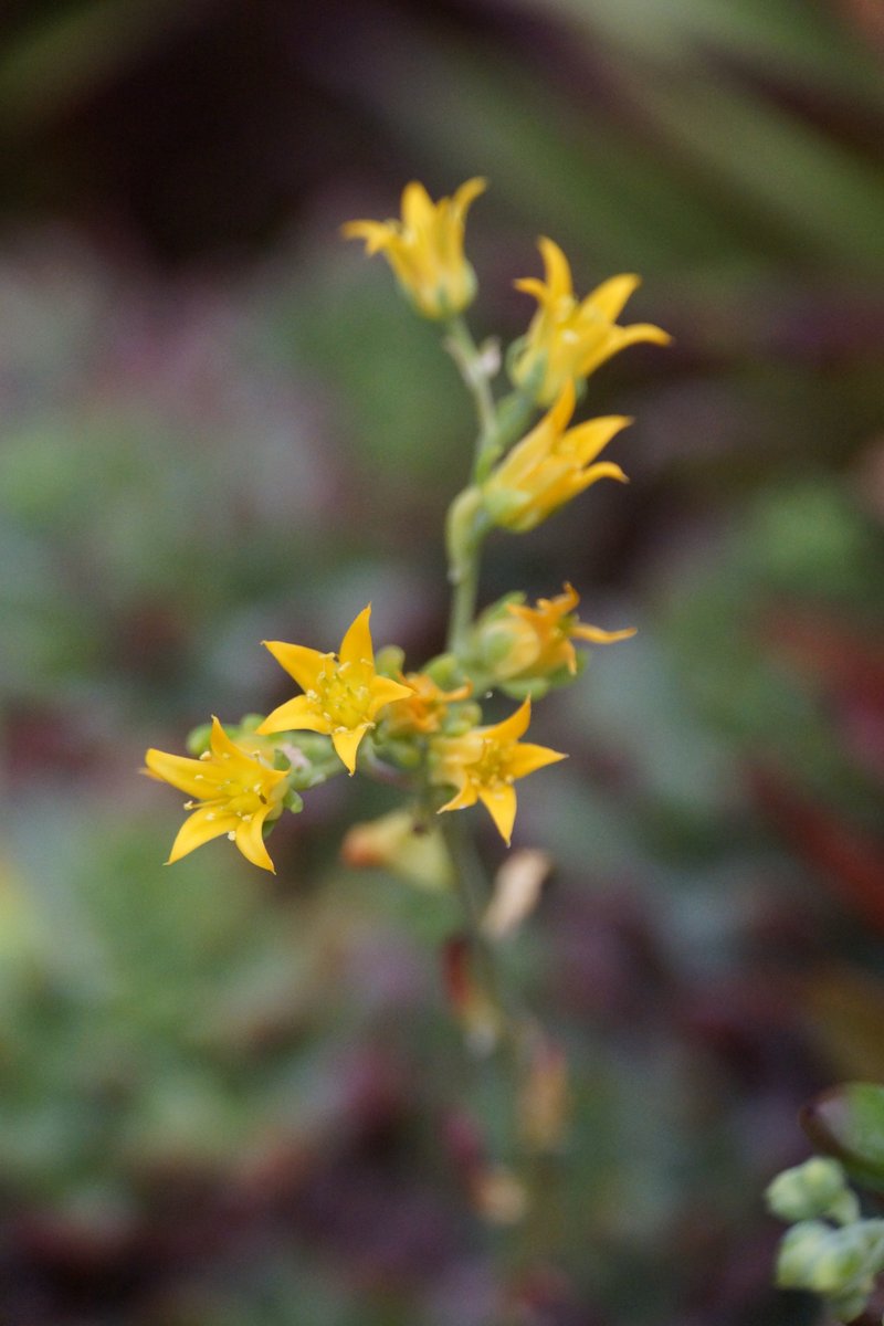 Toni Lockwood tweet media