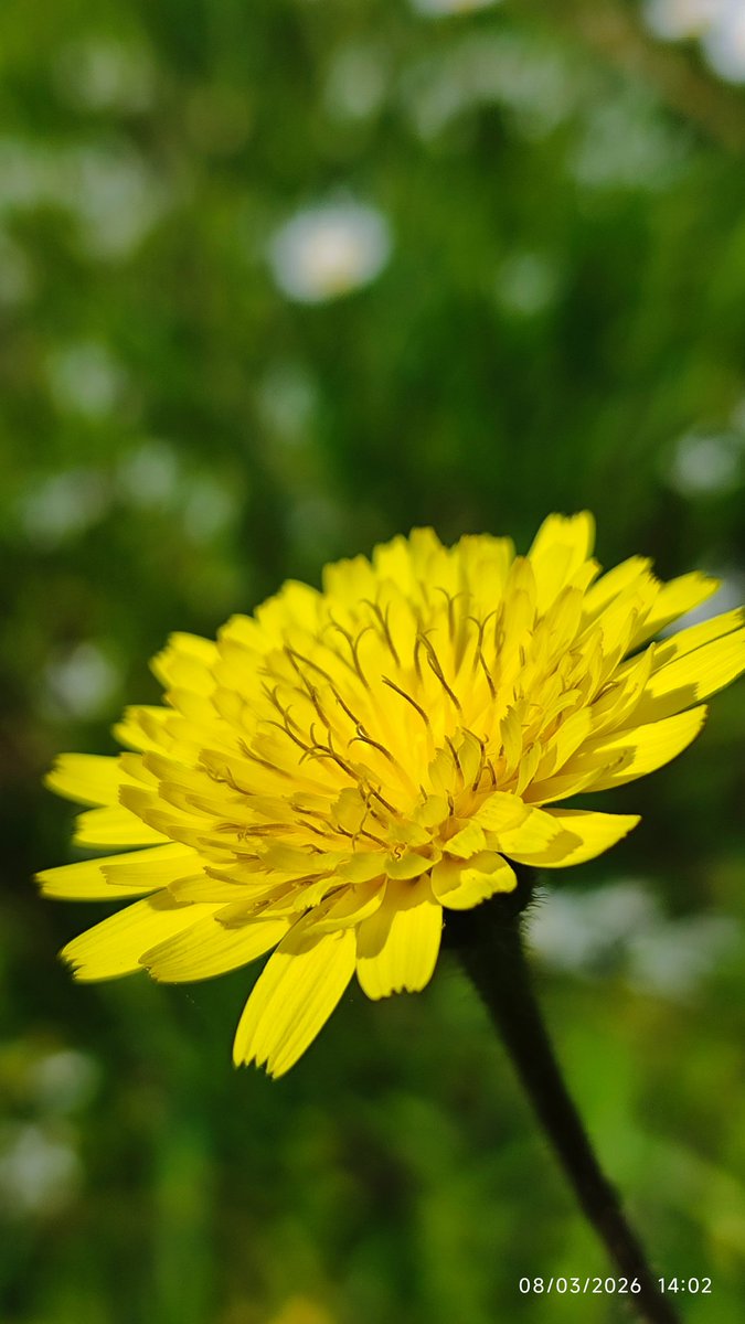 HsnZkrt35's tweet image. Gün akşamda, 
Huzurlu bir akşam yaşamak ümidiyle, 
İyi akşamlar, sağlıkla... 

#günakşamda #iyiakşamlar #mutluakşamlar #aşk #izmir