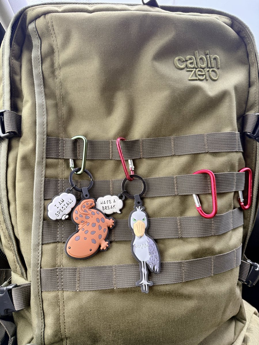 yukimiz's tweet photo. あ、バックパックにはオオサンショウウオとハシビロコウも一緒なの♪
#cabinzero https://t.co/jPRwyCbV7D
