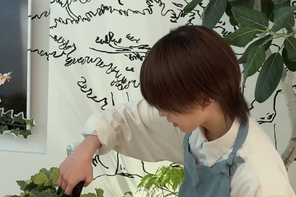 ムッ🥟 tweet media