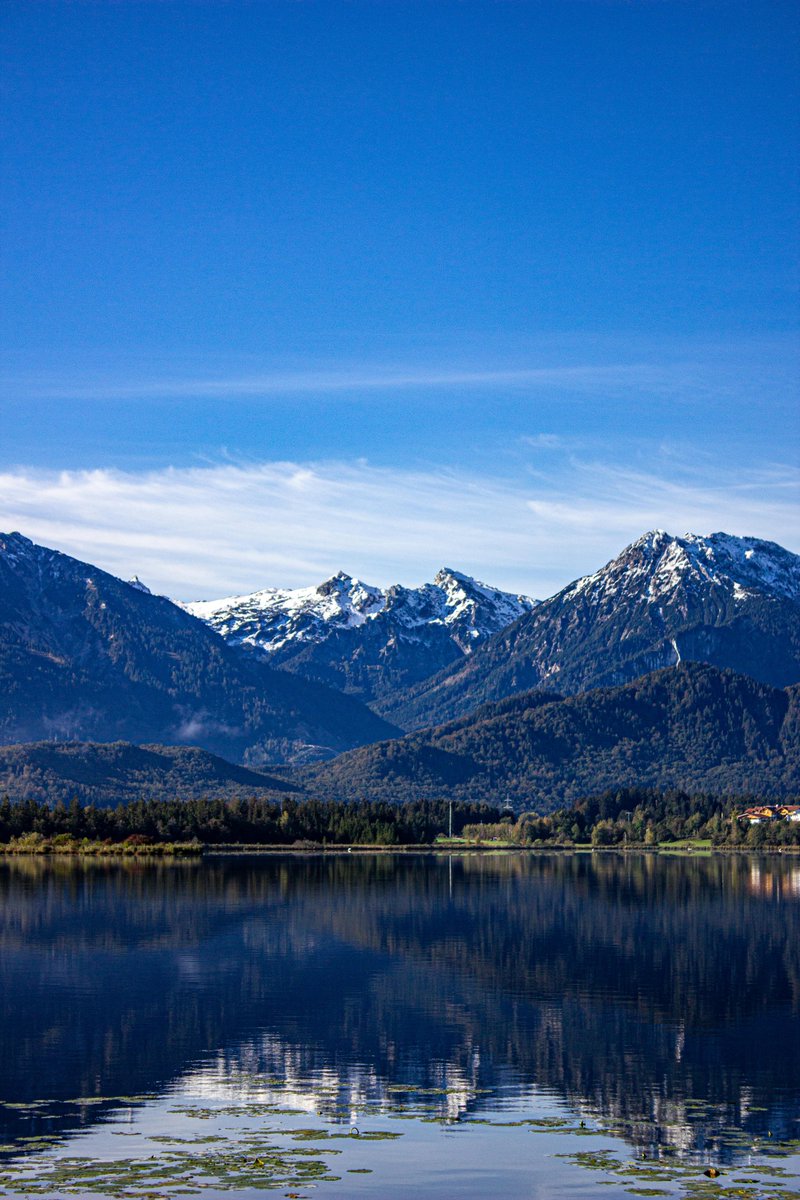 ahsan habib tweet media