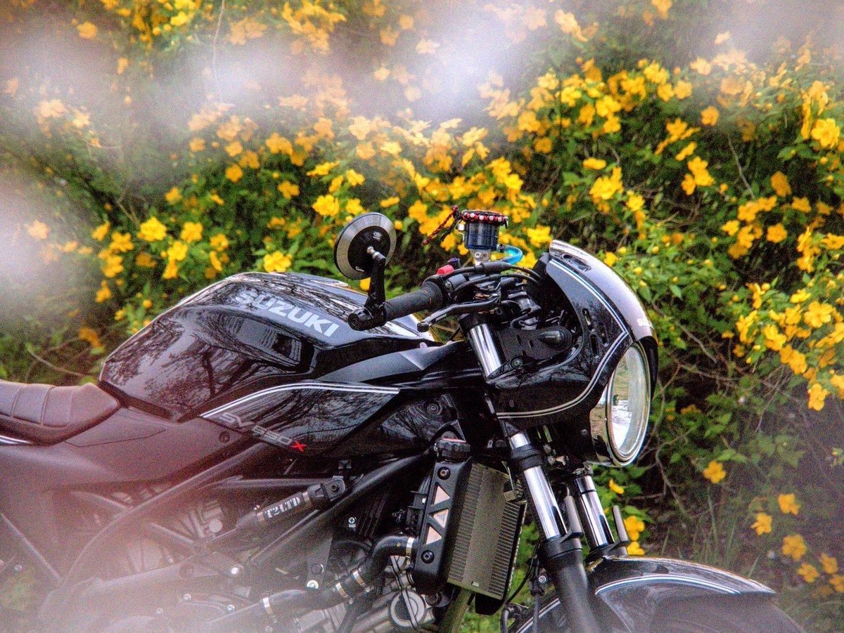 SEREN GD/T2@GDB tweet media