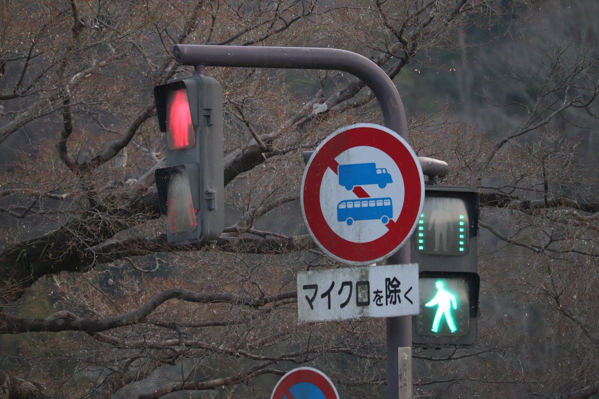 六角歩灯 tweet media