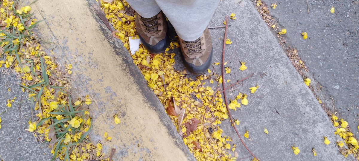 No necesitas contar toda tu historia ni revivir traumas.
Deja tu resentimientos, a estas alturas de tus años dorados, continuas  sacando  tu desprecio a lo que viviste y sentiste, que bárbaro vale, no devuelvas lo malo.
 Dedícate.
🌻