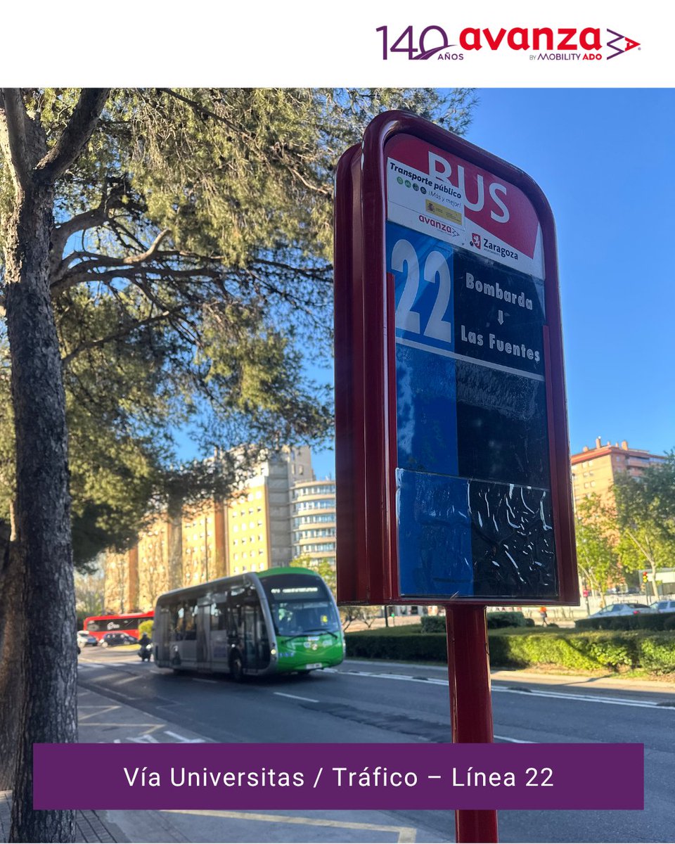 AyuntamientoZaragoza tweet media