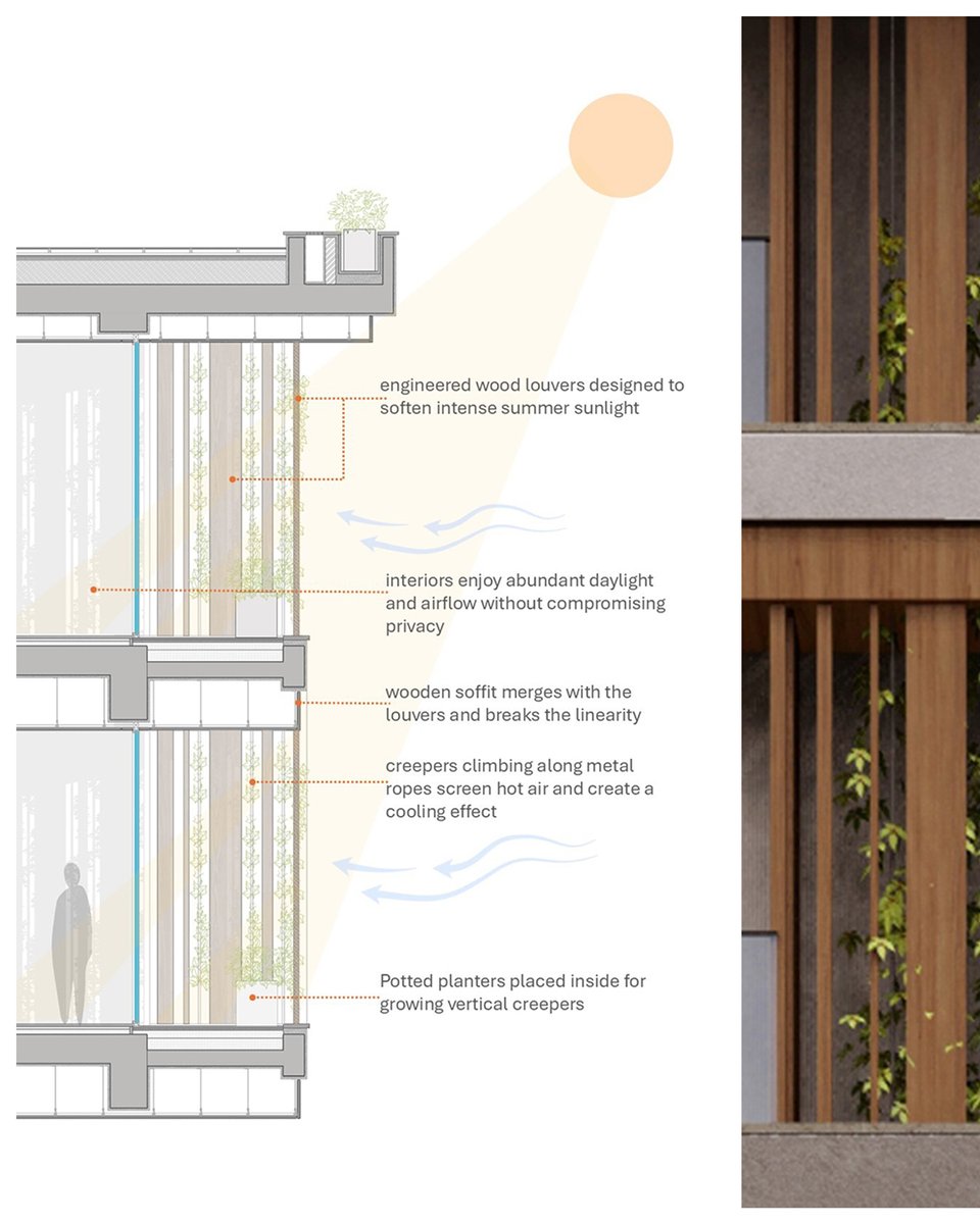 morphogenesis. tweet media