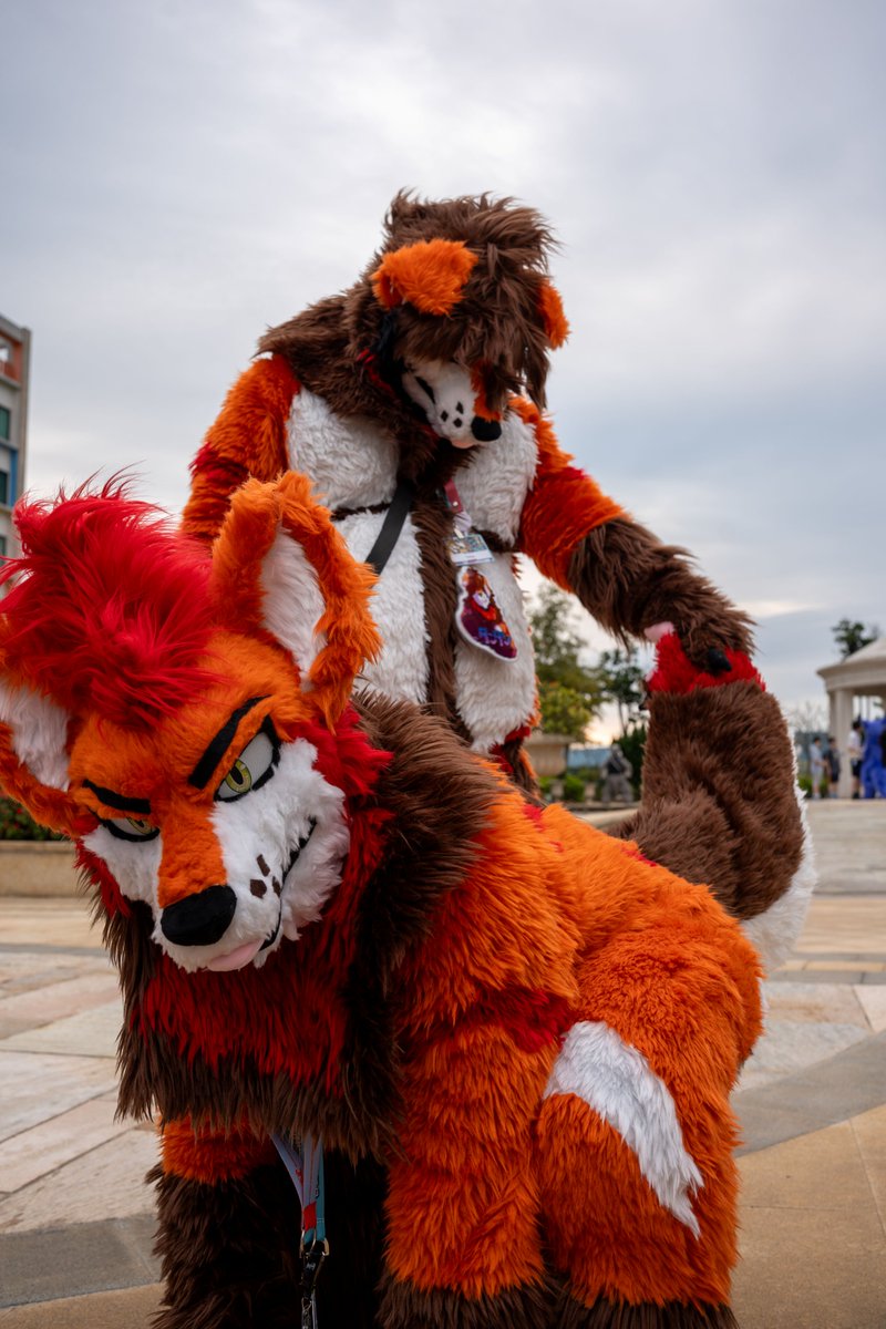 タンタン tweet media