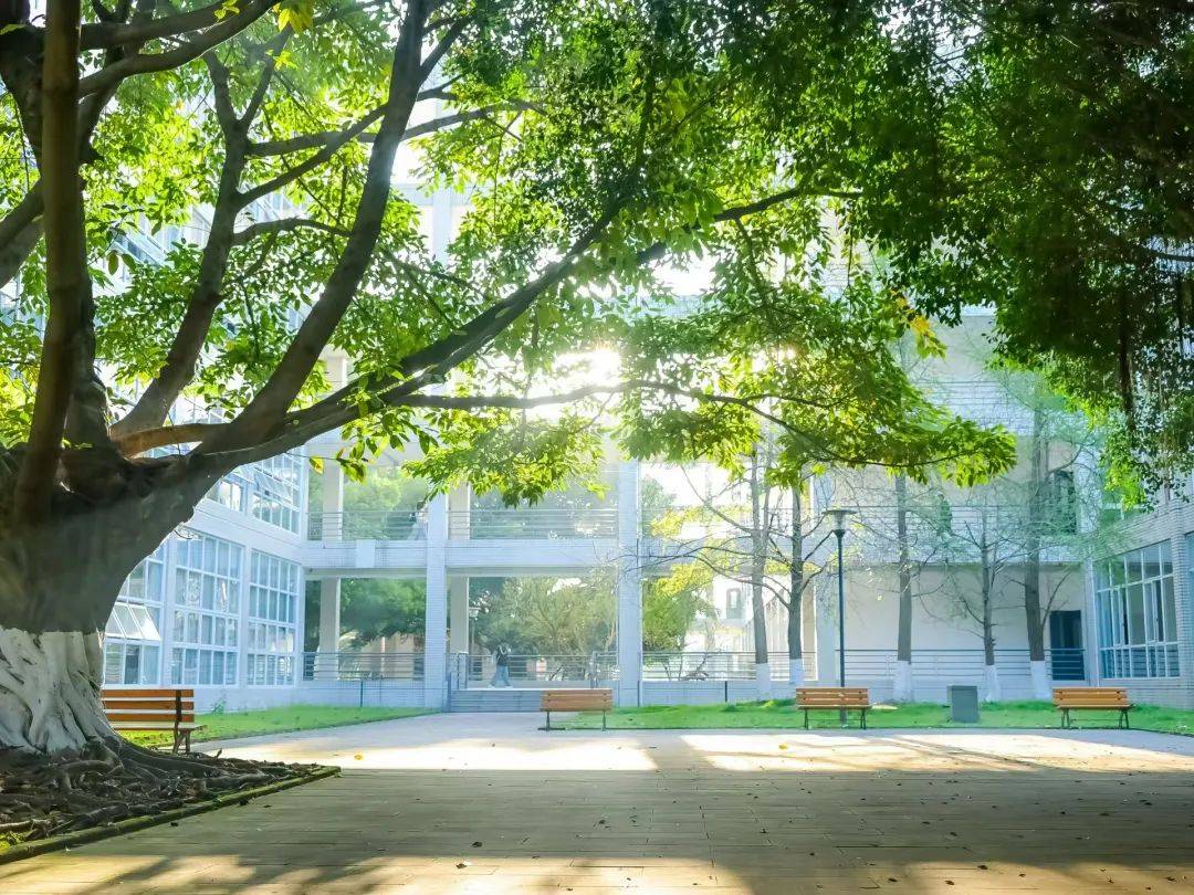 heatherlee tweet media