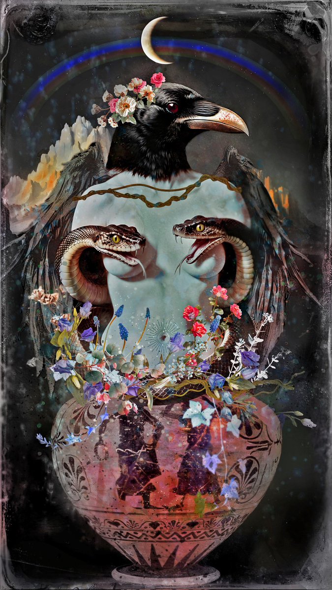 Neda Tavallaee tweet media