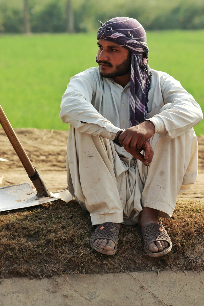 mdsafwan mdsafwan tweet media