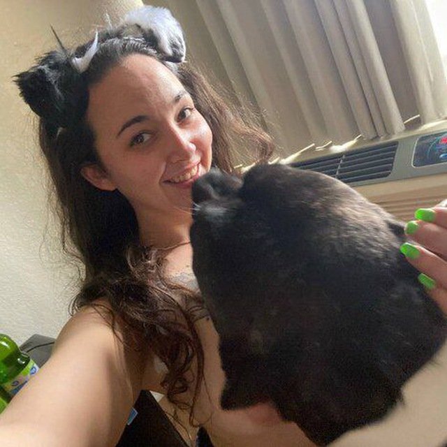 Cupcake Doggo universe🐶♥️ tweet media