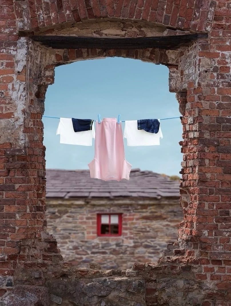 HOUSE LOVERS tweet media