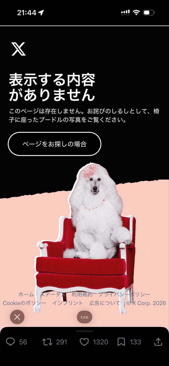 マドリディスタ tweet media