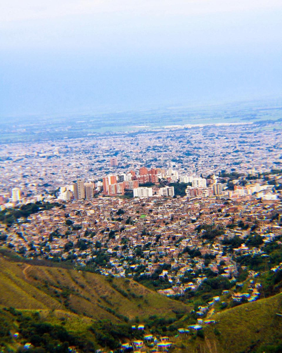 OrgullosamenteCaleño® tweet media