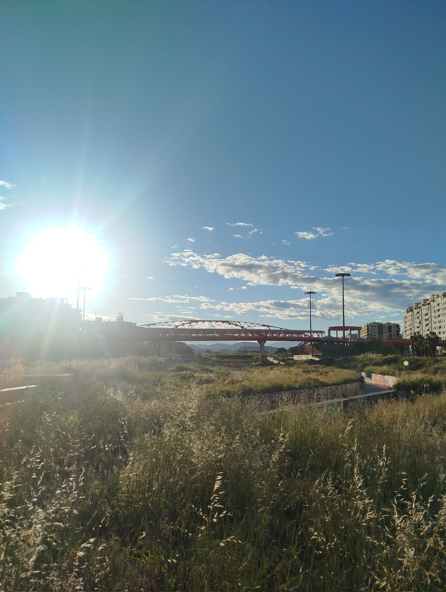 parque central ya tweet media