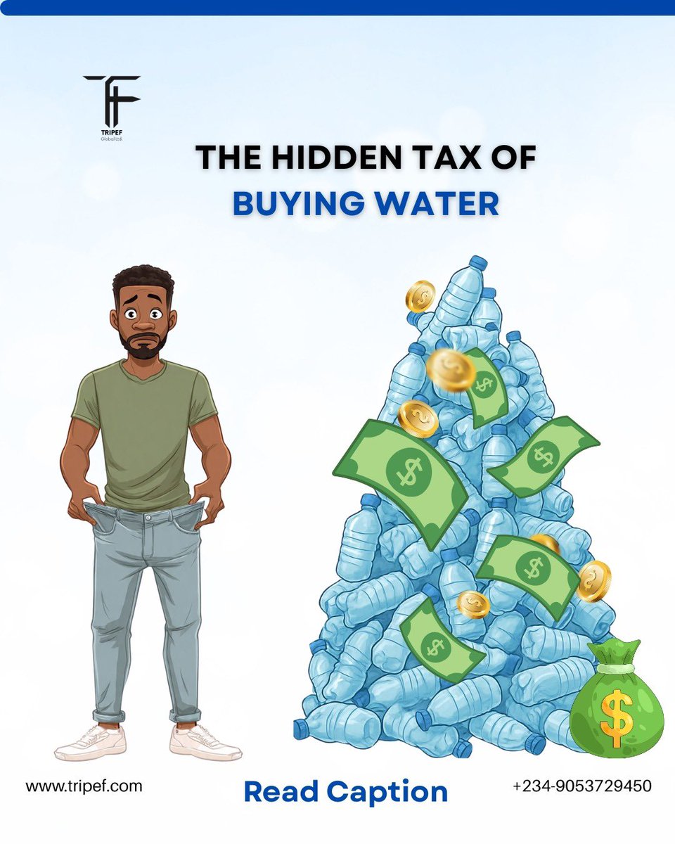 TRIPEF GLOBAL tweet media